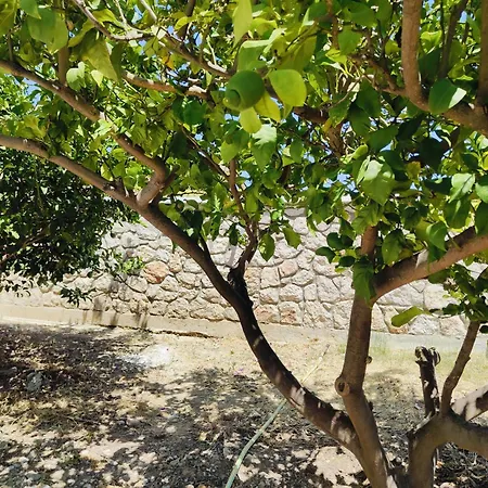 Panormitis House Semi-basement דירה פסטידה