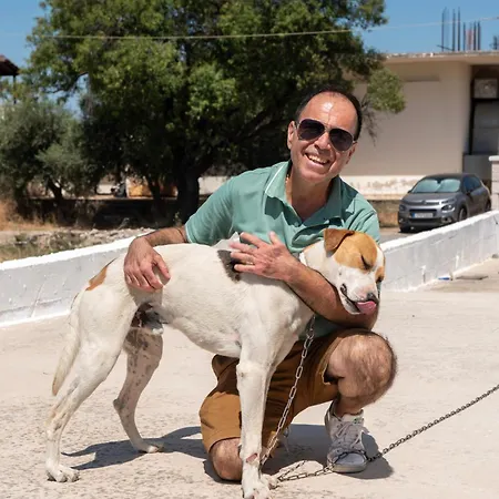 Panormitis House Semi-basement 公寓