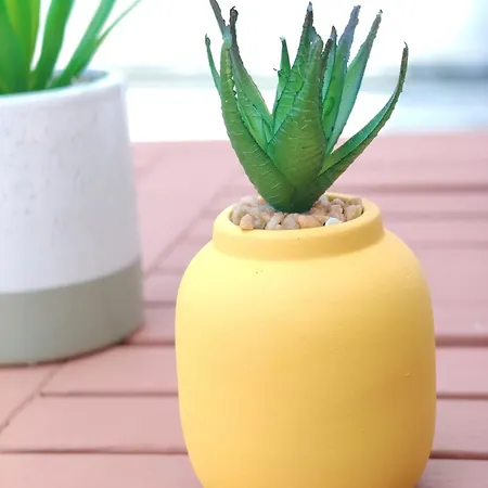 Panormitis House Semi-basement Παστίδα