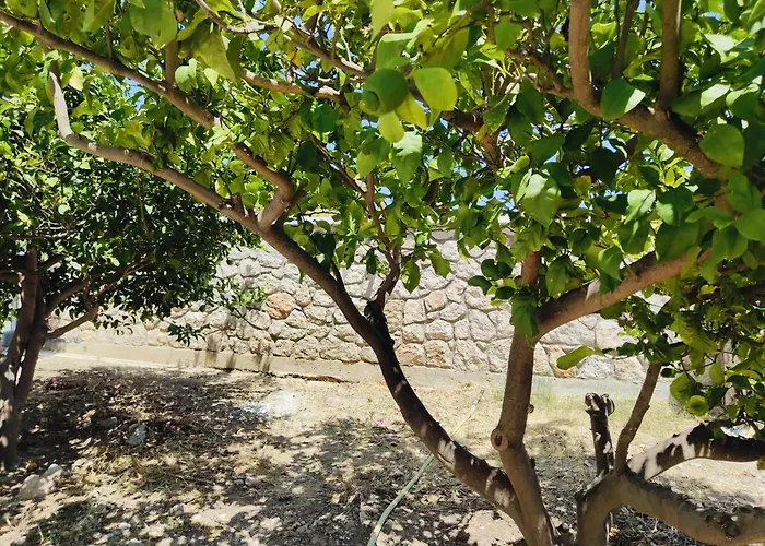 Panormitis House Semi-basement Διαμέρισμα Παστίδα