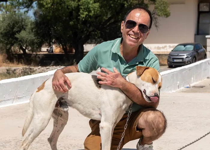 Panormitis House Semi-basement דירה
