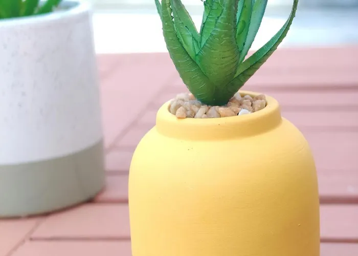 Panormitis House Semi-basement Pastida